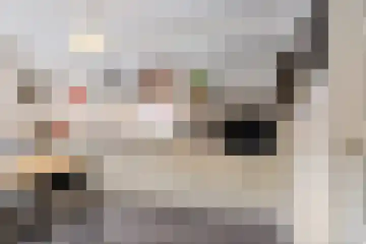 Eelserstraat 5 Beringe thumbnail 10