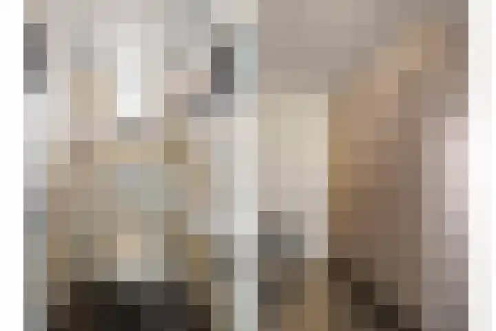 Eelserstraat 5 Beringe thumbnail 17