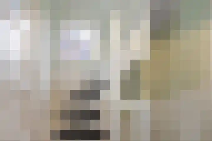 Eelserstraat 5 Beringe thumbnail 18