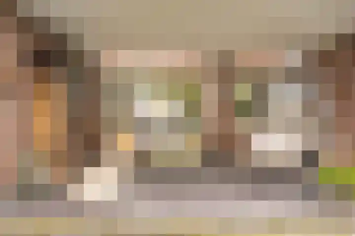 Eelserstraat 5 Beringe thumbnail 31