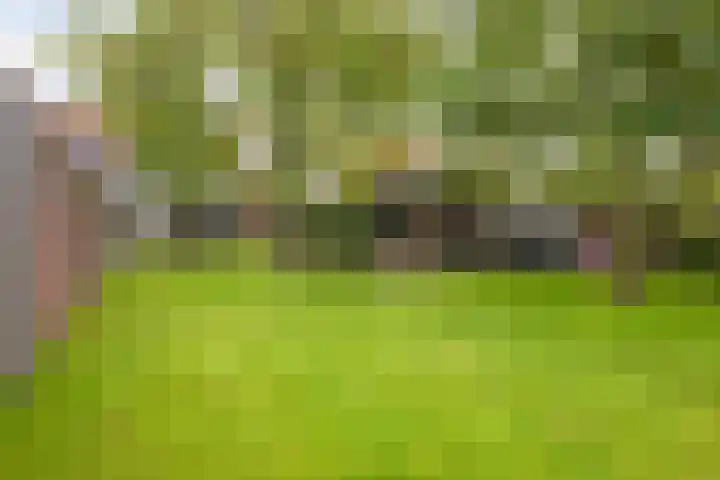 Eelserstraat 5 Beringe thumbnail 36