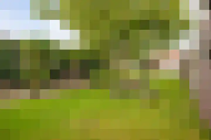 Eelserstraat 5 Beringe thumbnail 40