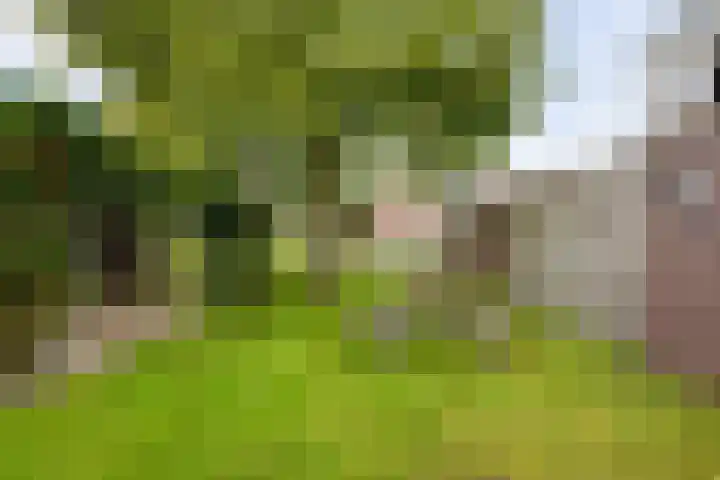 Eelserstraat 5 Beringe thumbnail 41