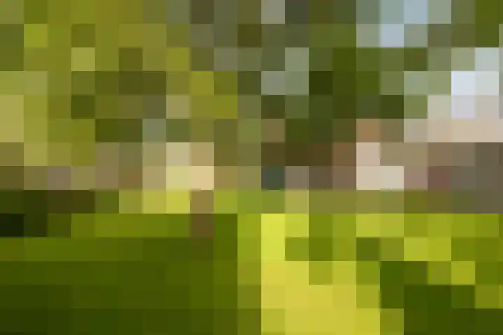 Eelserstraat 5 Beringe thumbnail 42
