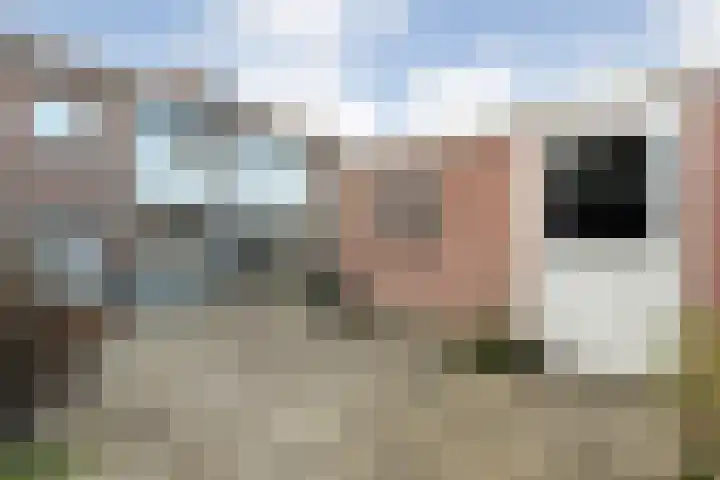 Eem 24 Assen thumbnail 23
