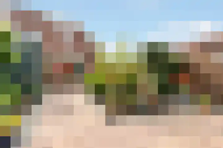 Eem 24 Zeewolde thumbnail 31