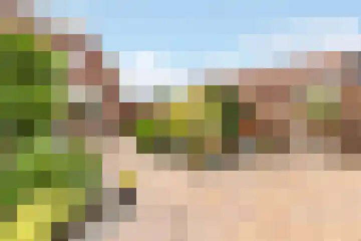 Eem 24 Zeewolde thumbnail 32