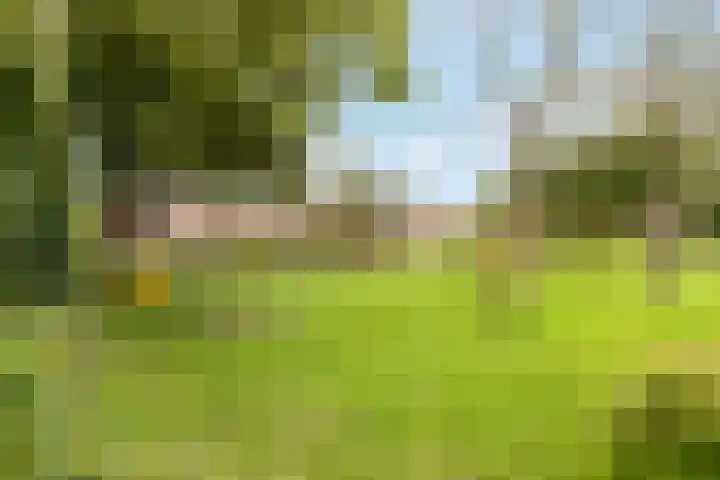 Eem 24 Zeewolde thumbnail 34