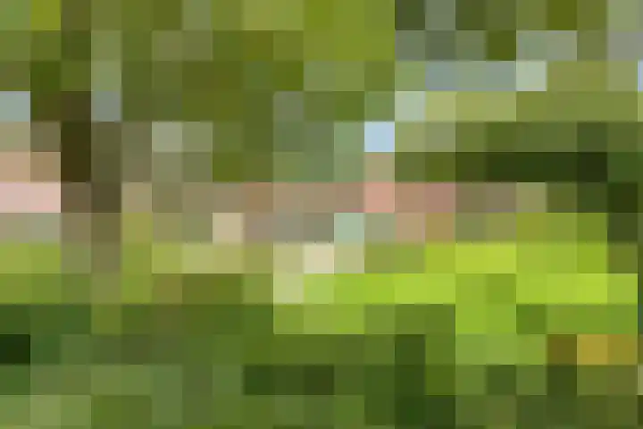 Eem 24 Zeewolde thumbnail 35