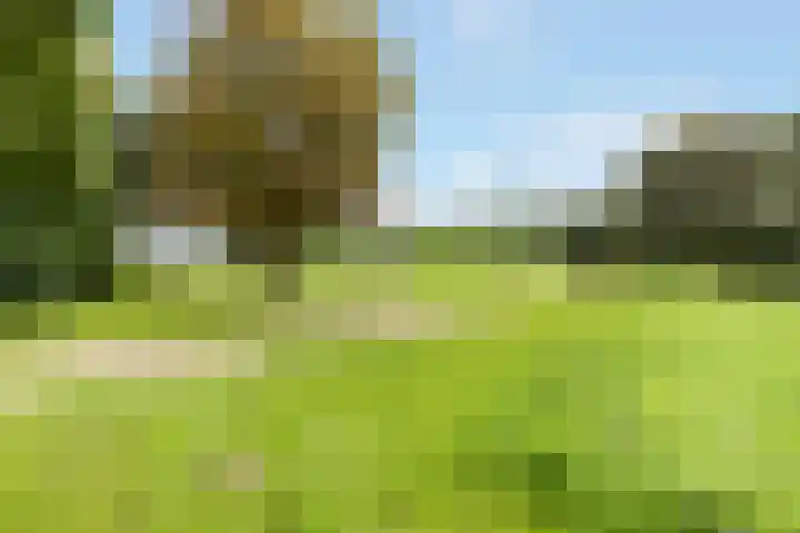 Eem 24 Zeewolde thumbnail 36
