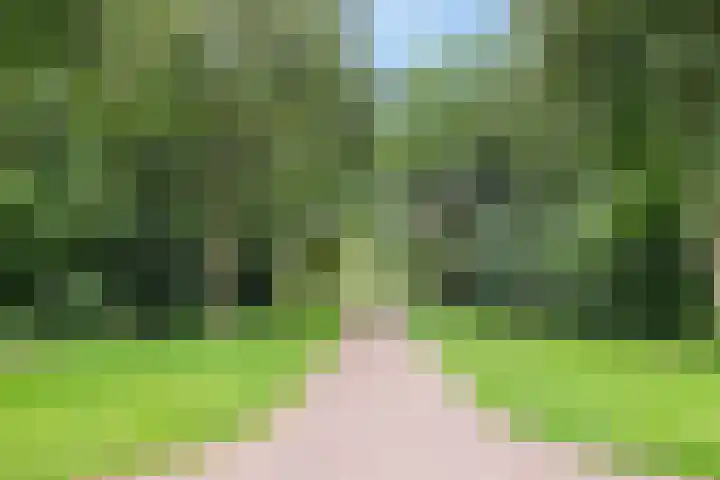 Eem 24 Zeewolde thumbnail 37