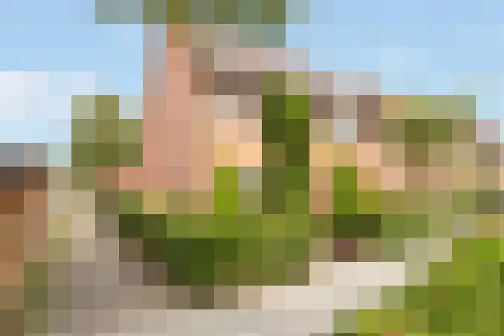 Eem 24 Zeewolde thumbnail 5