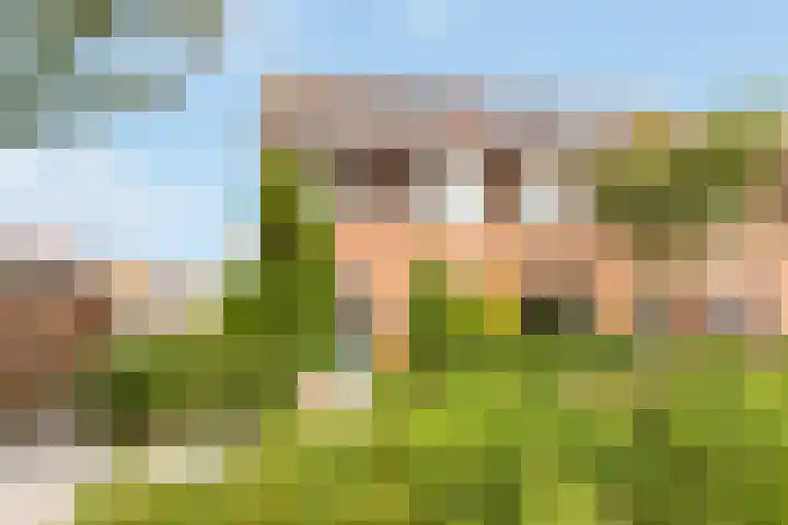 Eem 24 Zeewolde thumbnail 6