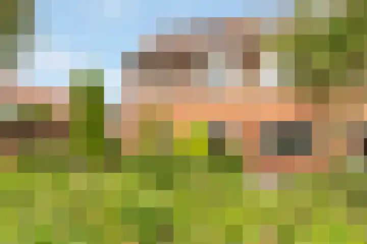 Eem 24 Zeewolde thumbnail 7