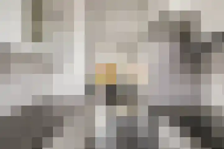 Eem 26 Lelystad thumbnail 20