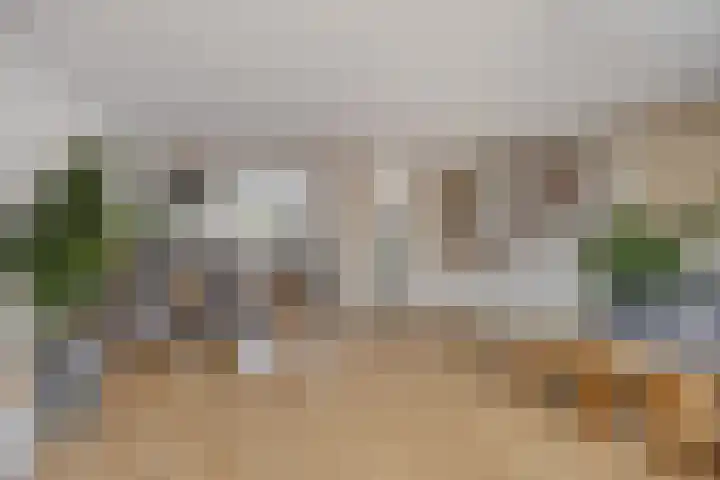 Eem 4 Pijnacker thumbnail 11