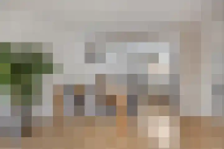 Eem 4 Pijnacker thumbnail 12