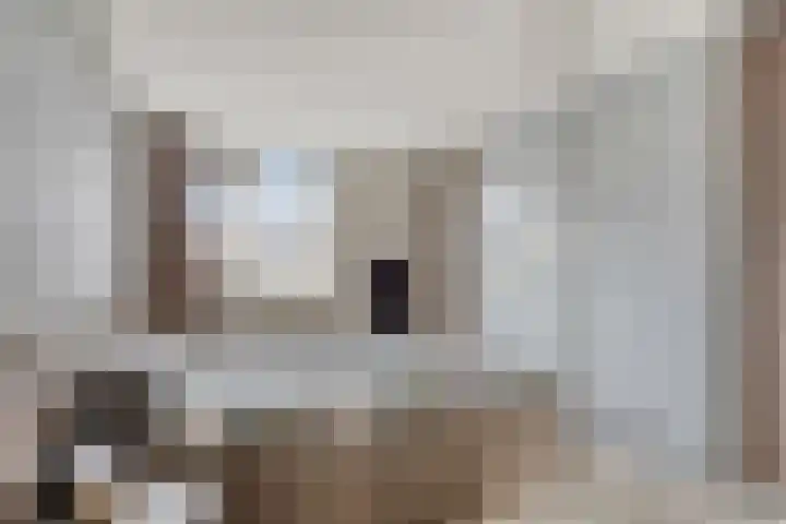 Eem 4 Pijnacker thumbnail 15