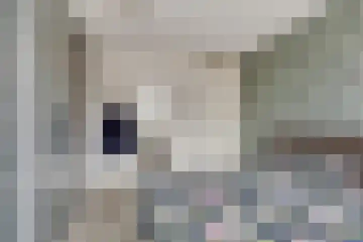 Eem 4 Pijnacker thumbnail 16