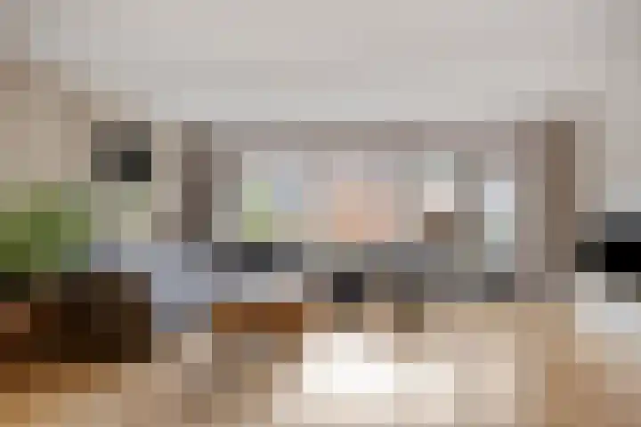 Eem 4 Pijnacker foto 2