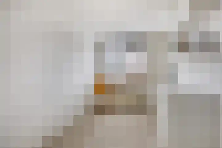 Eem 4 Pijnacker thumbnail 20