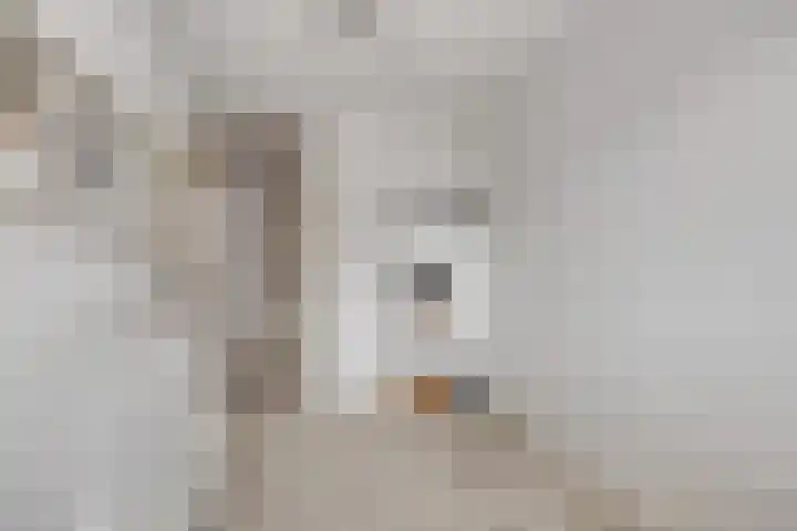 Eem 4 Pijnacker thumbnail 21