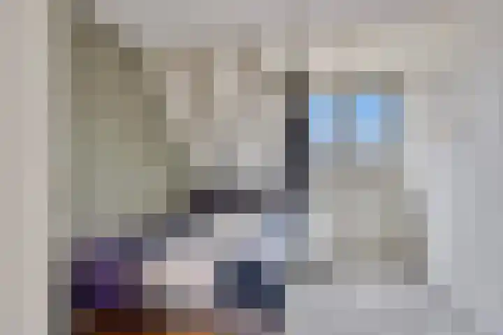 Eem 4 Pijnacker thumbnail 24