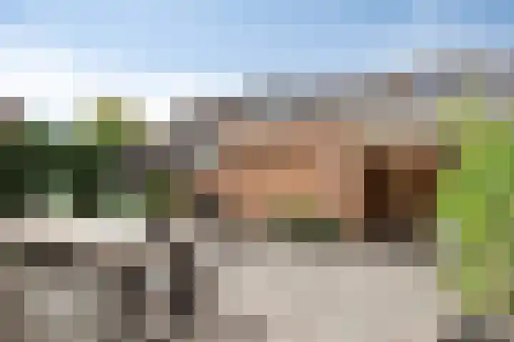 Eem 4 Pijnacker thumbnail 26