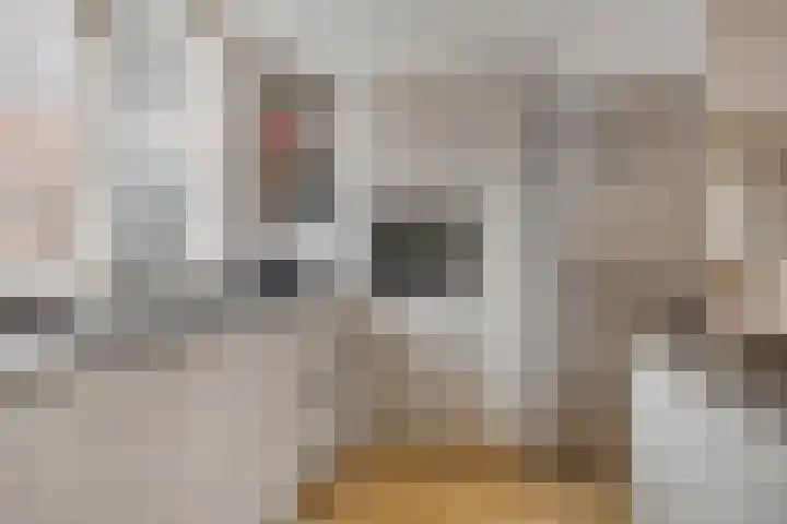 Eem 4 Pijnacker foto 3