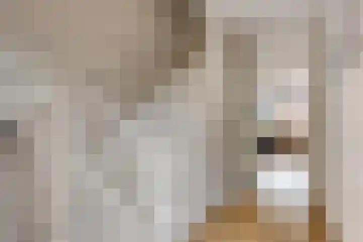 Eem 4 Pijnacker thumbnail 8