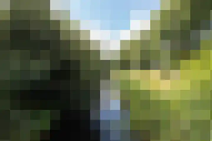 Eem 67 Assen thumbnail 37