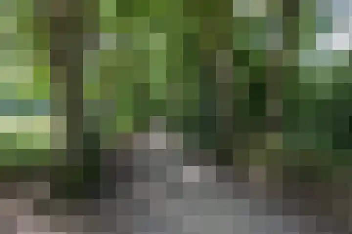 Eem 67 Assen thumbnail 38