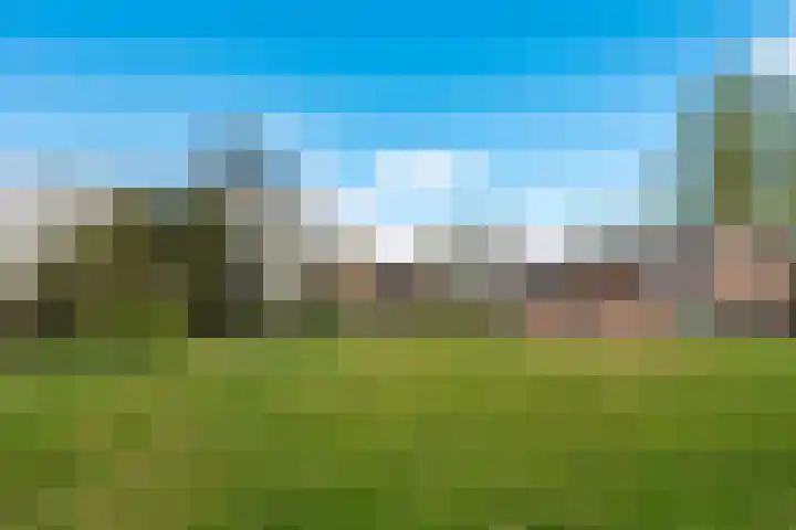 Eemdijk 205 Eemdijk
