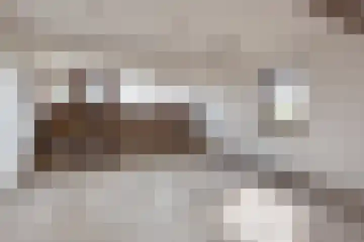Eemdijk 205 Eemdijk thumbnail 21
