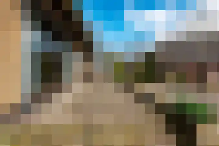Eemdijk 205 Eemdijk thumbnail 23