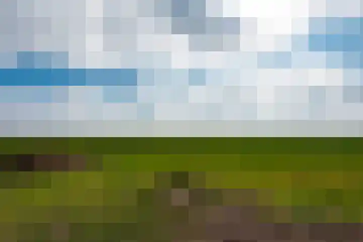 Eemdijk 205 Eemdijk thumbnail 30