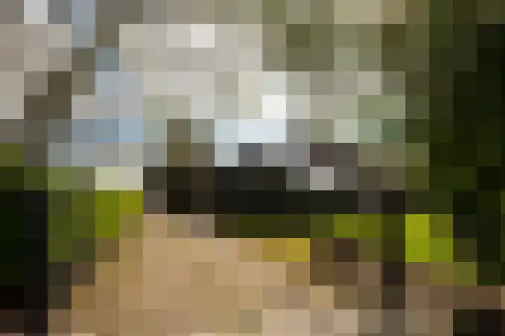Eemdijk 205 Eemdijk thumbnail 31