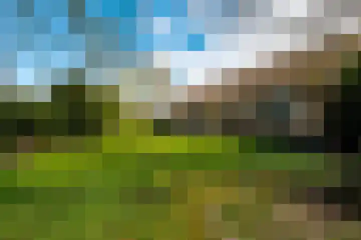 Eemdijk 205 Eemdijk thumbnail 5