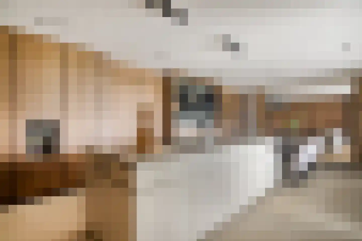 Eemdijk 22 Eemdijk thumbnail 19