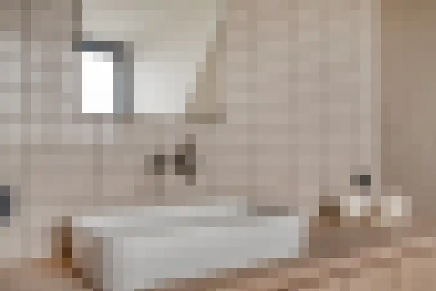 Eemdijk 22 Eemdijk thumbnail 43