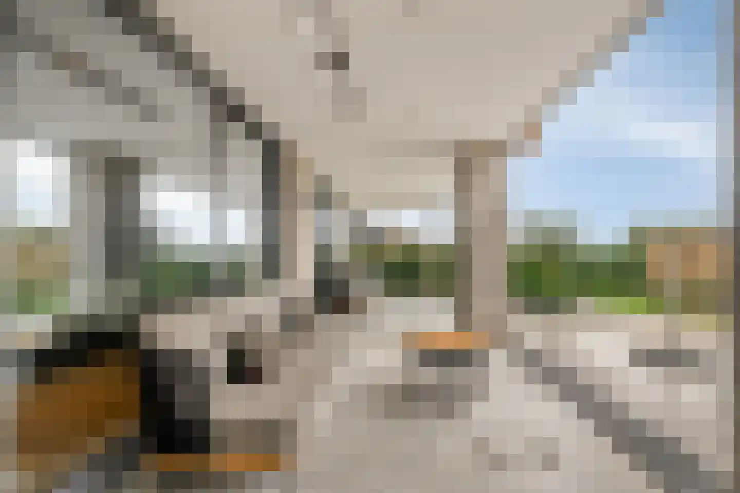 Eemdijk 22 Eemdijk thumbnail 50