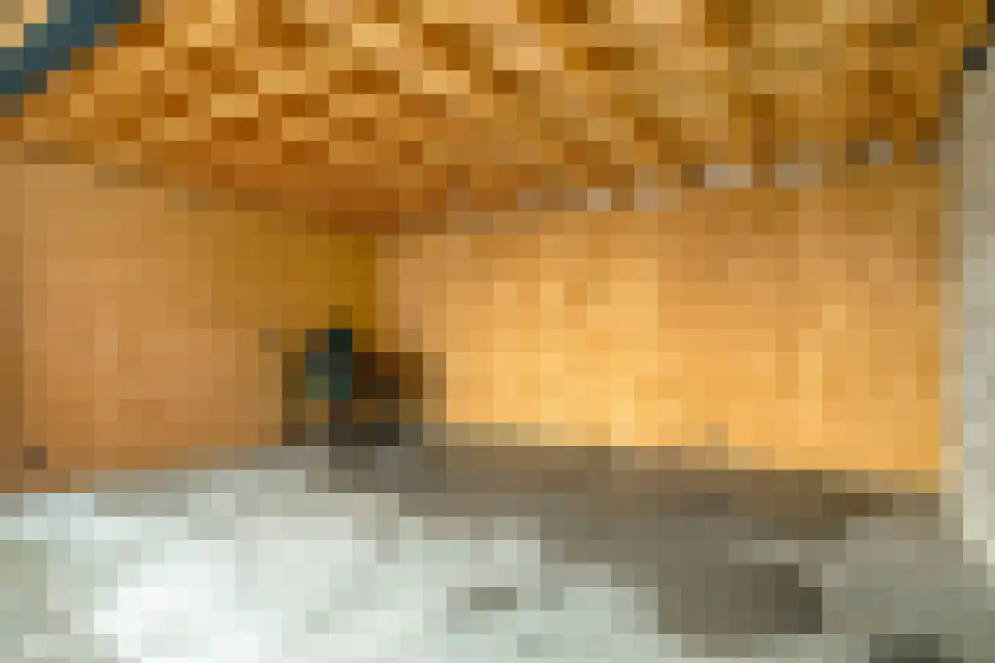 Eemdijk 22 Eemdijk thumbnail 55