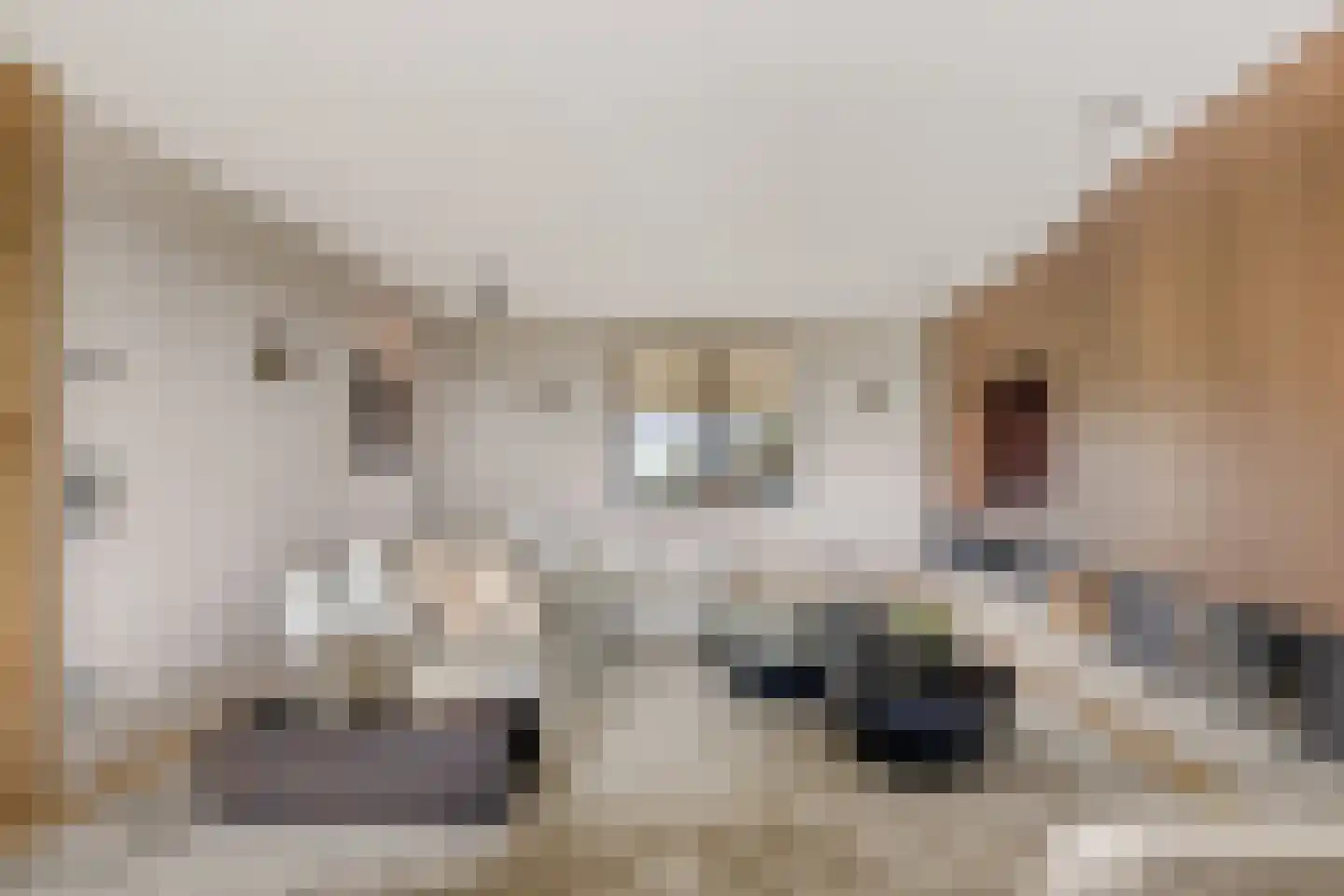 Eemdijk 22 Eemdijk thumbnail 6
