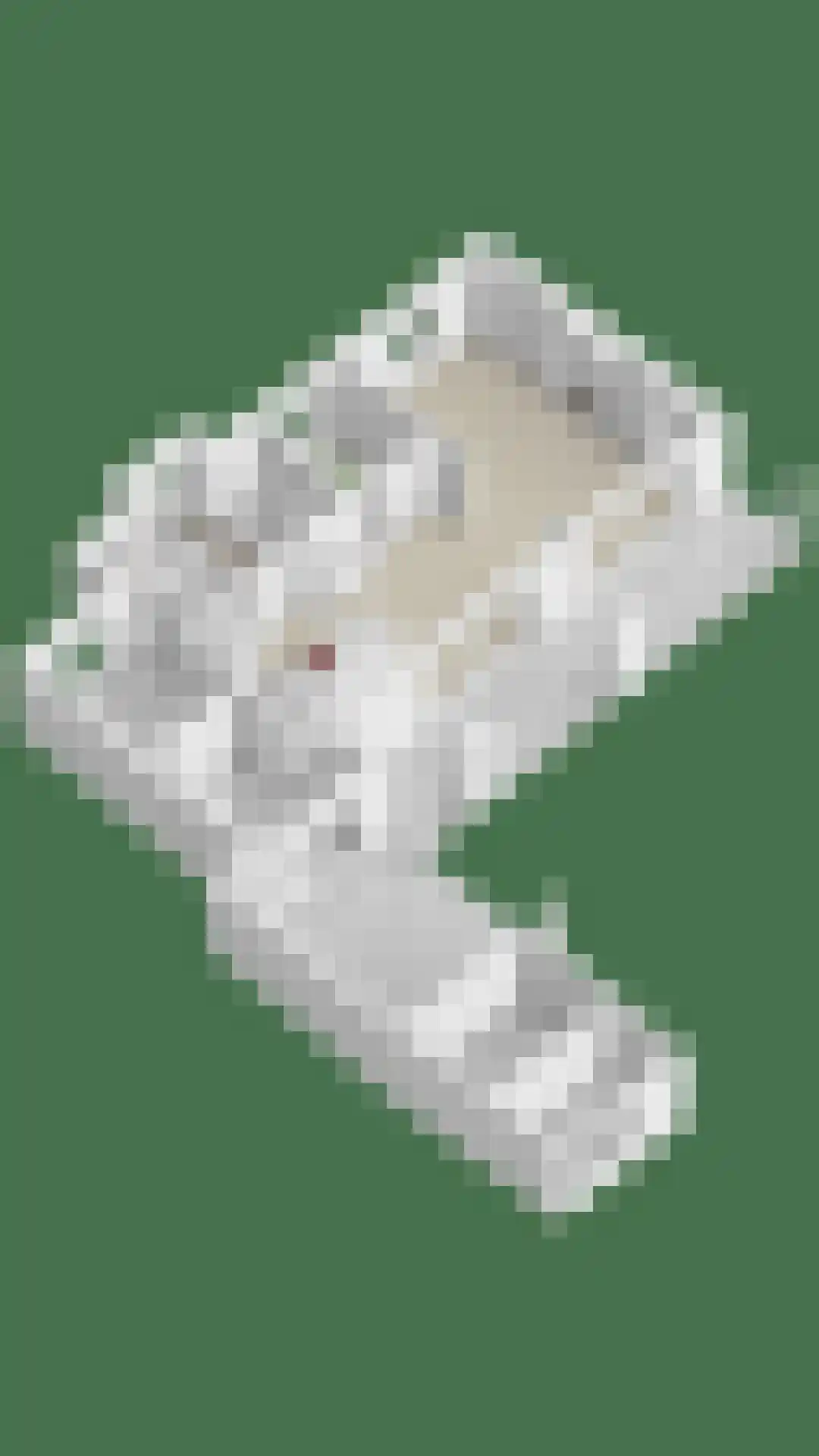 Eemdijk 22 Eemdijk thumbnail 65