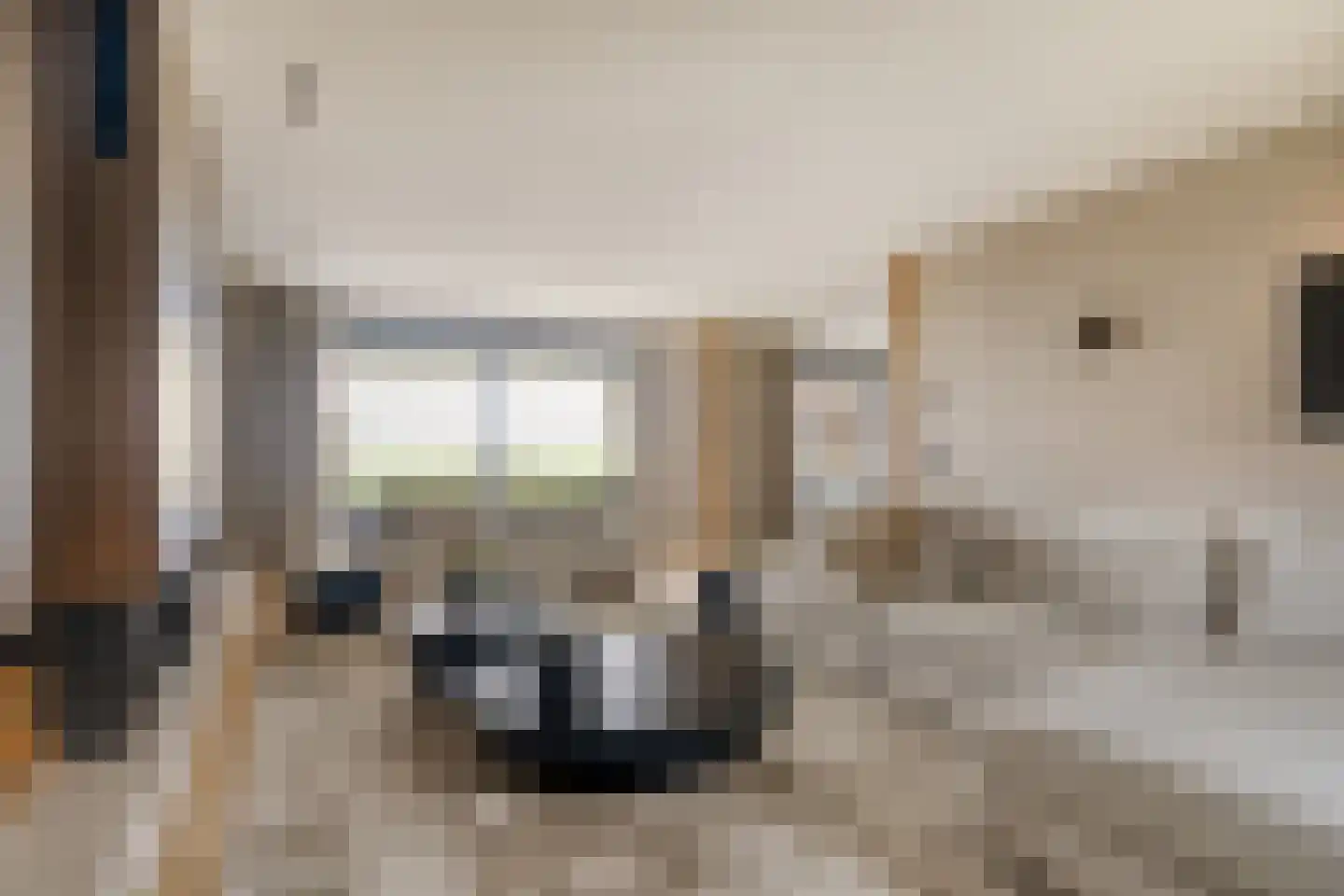 Eemdijk 22 Eemdijk thumbnail 9