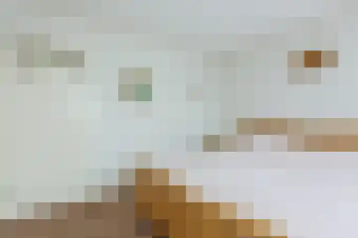 Eemdijk 43 a Eemdijk thumbnail 23