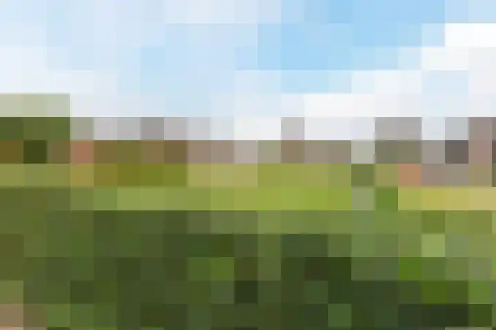 Eemdijk 43 a Eemdijk thumbnail 40