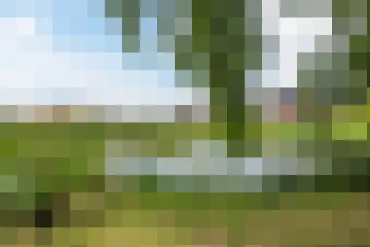Eemdijk 43 a Eemdijk thumbnail 47
