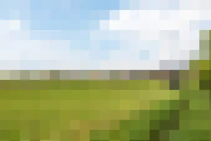 Eemdijk 43 a Eemdijk thumbnail 48