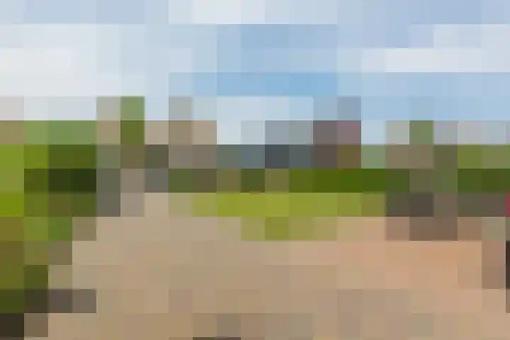 Eemdijk 43 a Eemdijk thumbnail 6